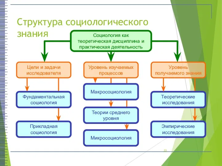 Структура социологического знания Социология как теоретическая дисциплина и практическая деятельность