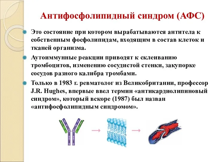 Антифосфолипидный синдром (АФС) Это состояние при котором вырабатываются антитела к