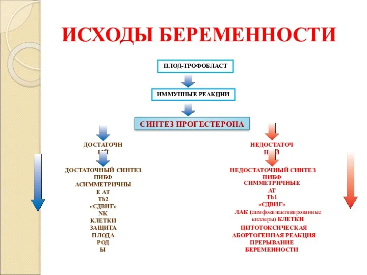 ИСХОДЫ БЕРЕМЕННОСТИ ПЛОД-ТРОФОБЛАСТ ИММУННЫЕ РЕАКЦИИ СИНТЕЗ ПРОГЕСТЕРОНА НЕДОСТАТОЧНЫЙ ДОСТАТОЧНЫЙ НЕДОСТАТОЧНЫЙ