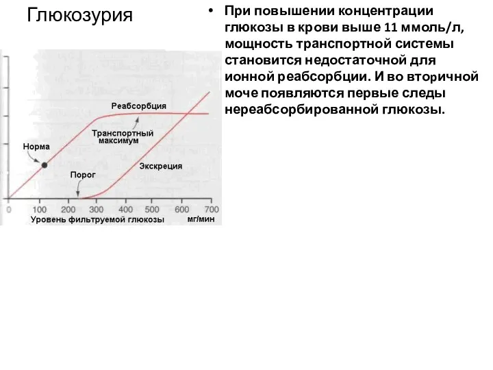 Глюкозурия При повышении концентрации глюкозы в крови выше 11 ммоль/л,