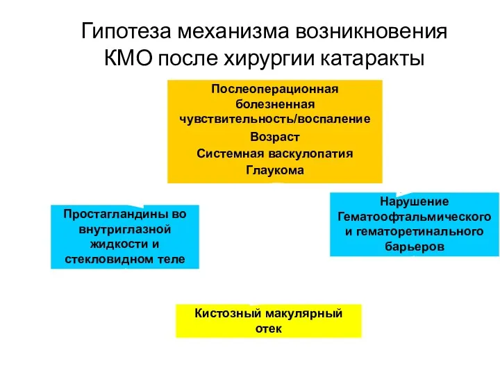 Гипотеза механизма возникновения КМО после хирургии катаракты Послеоперационная болезненная чувствительность/воспаление