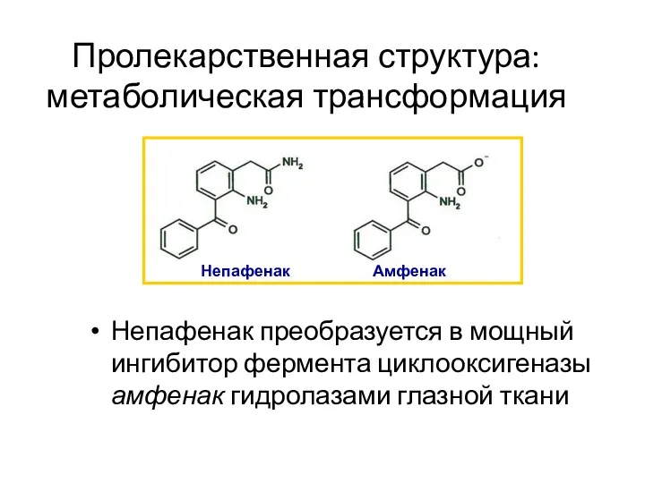 Пролекарственная структура: метаболическая трансформация Непафенак преобразуется в мощный ингибитор фермента