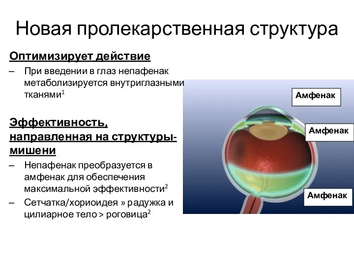 Новая пролекарственная структура Оптимизирует действие При введении в глаз непафенак