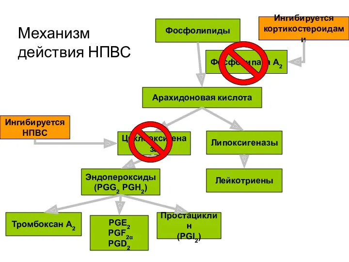 Механизм действия НПВС Jampol LM. Pharmacologic therapy of aphakic cystoid macular edema. Ophthalmology. 1982; 80:891-897.