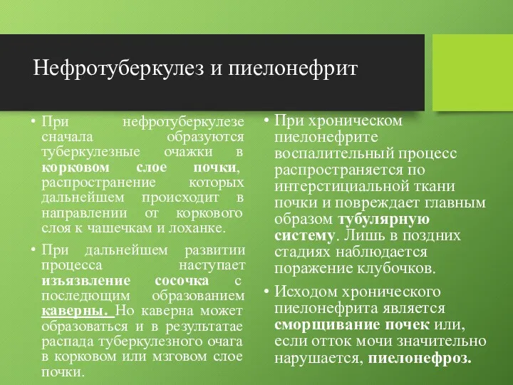 Нефротуберкулез и пиелонефрит При нефротуберкулезе сначала образуются туберкулезные очажки в