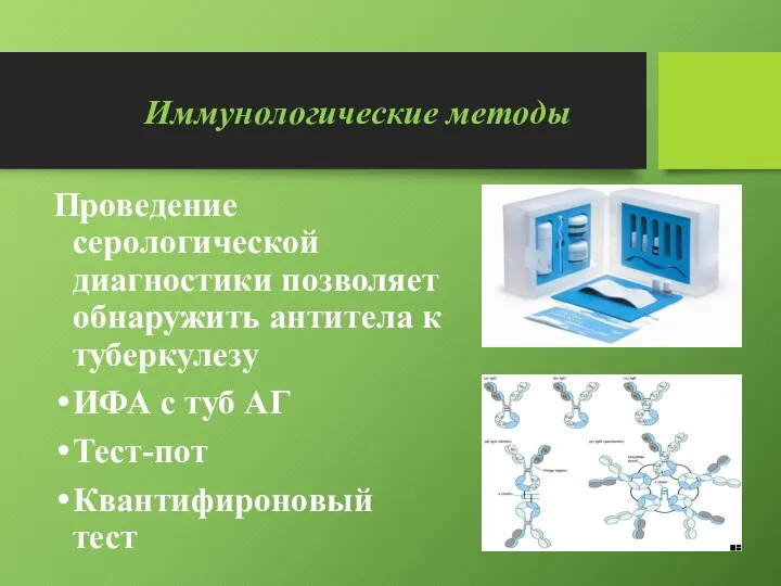 Иммунологические методы Проведение серологической диагностики позволяет обнаружить антитела к туберкулезу