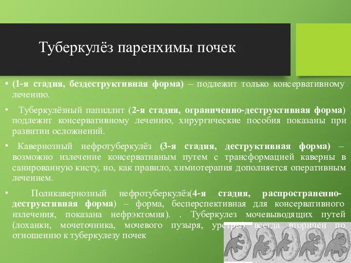 Туберкулёз паренхимы почек (1-я стадия, бездеструктивная форма) – подлежит только