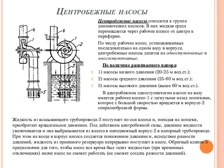 Центробежные насосы Центробежные насосы относятся к группе динамических насосов. В