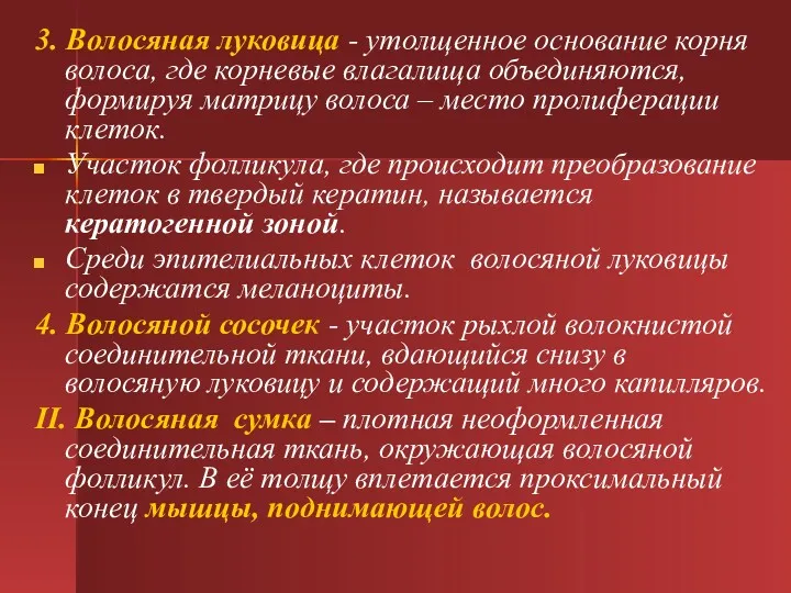 3. Волосяная луковица - утолщенное основание корня волоса, где корневые