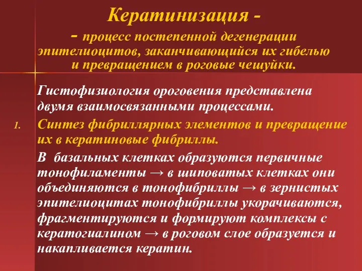 Кератинизация - - процесс постепенной дегенерации эпителиоцитов, заканчивающийся их гибелью