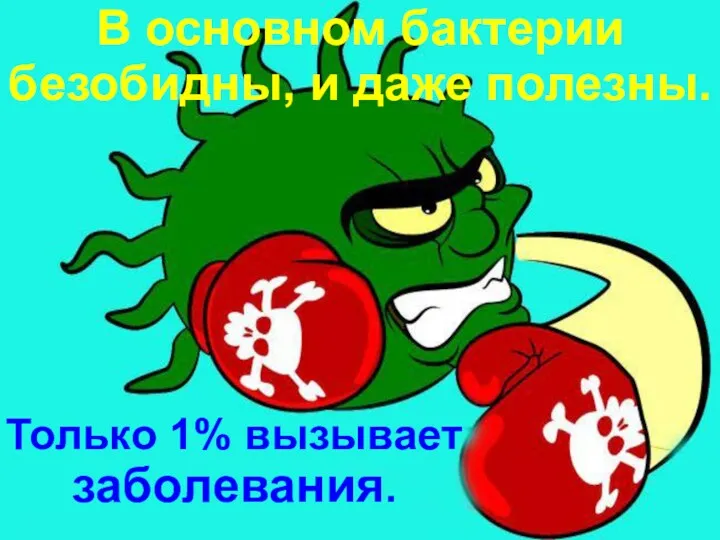 В основном бактерии безобидны, и даже полезны. Только 1% вызывает заболевания.