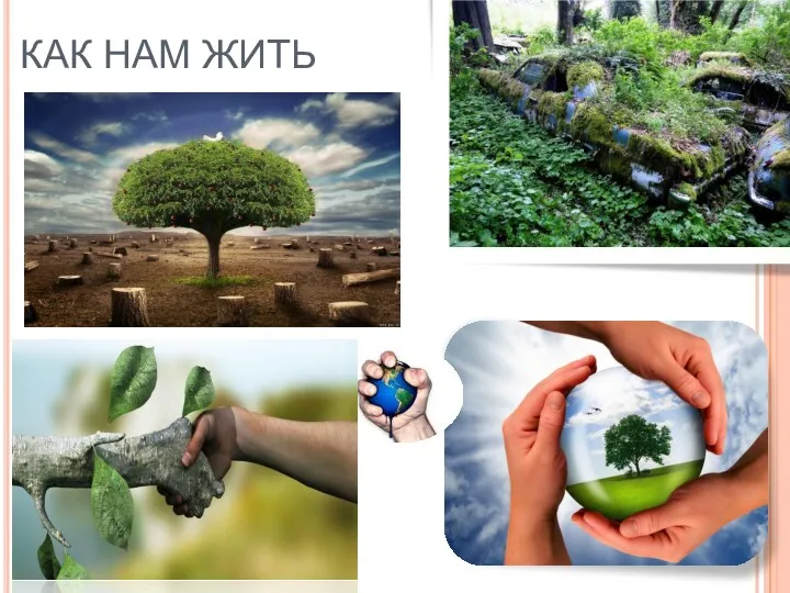 КАК НАМ ЖИТЬ