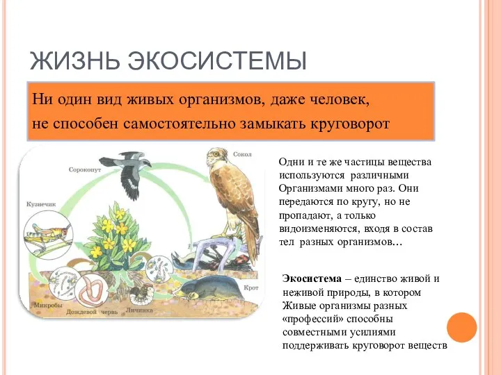 ЖИЗНЬ ЭКОСИСТЕМЫ Ни один вид живых организмов, даже человек, не способен самостоятельно замыкать