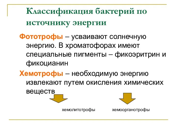 Классификация бактерий по источнику энергии Фототрофы – усваивают солнечную энергию.