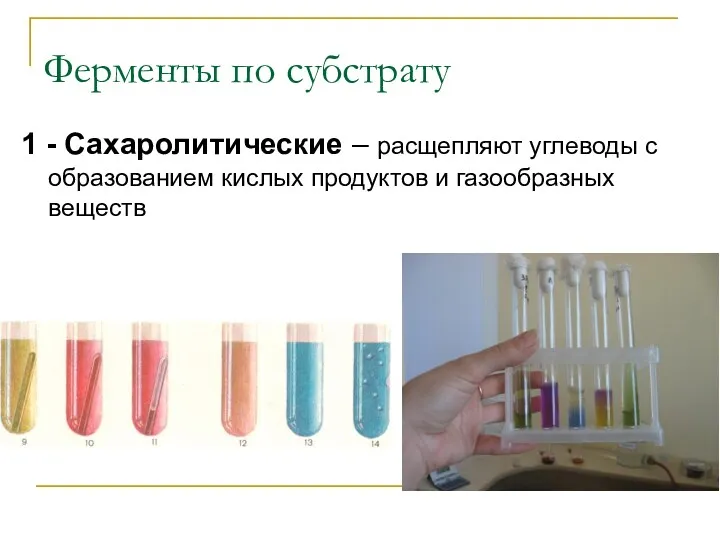 Ферменты по субстрату 1 - Сахаролитические – расщепляют углеводы с образованием кислых продуктов и газообразных веществ