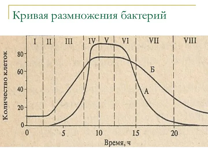 Кривая размножения бактерий