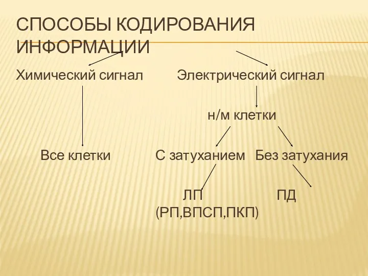 СПОСОБЫ КОДИРОВАНИЯ ИНФОРМАЦИИ Химический сигнал Все клетки Электрический сигнал н/м