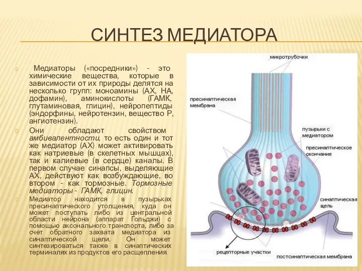 СИНТЕЗ МЕДИАТОРА Медиаторы («посредники») - это химические вещества, которые в