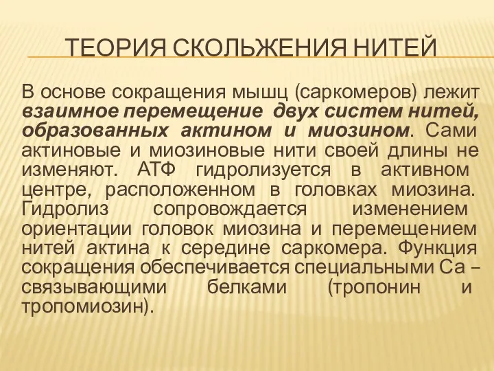 ТЕОРИЯ СКОЛЬЖЕНИЯ НИТЕЙ В основе сокращения мышц (саркомеров) лежит взаимное