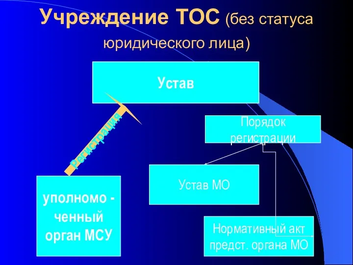 Учреждение ТОС (без статуса юридического лица) С момента регистрации устава