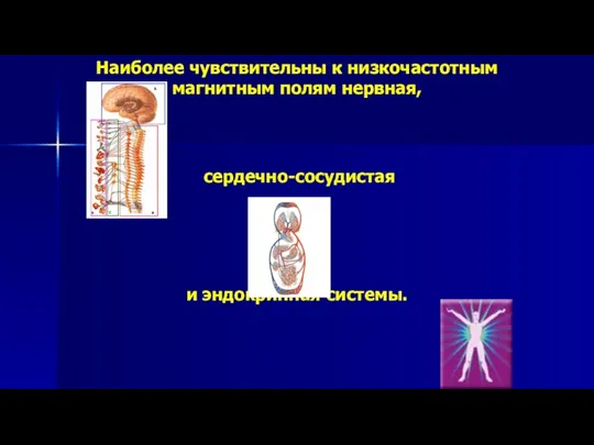 Наиболее чувствительны к низкочастотным магнитным полям нервная, сердечно-сосудистая и эндокринная системы.