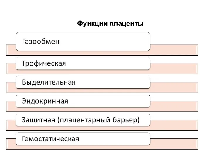 Функции плаценты