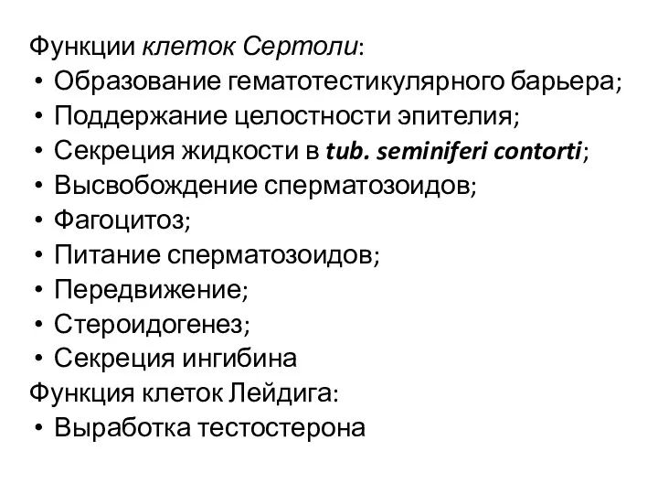 Функции клеток Сертоли: Образование гематотестикулярного барьера; Поддержание целостности эпителия; Секреция