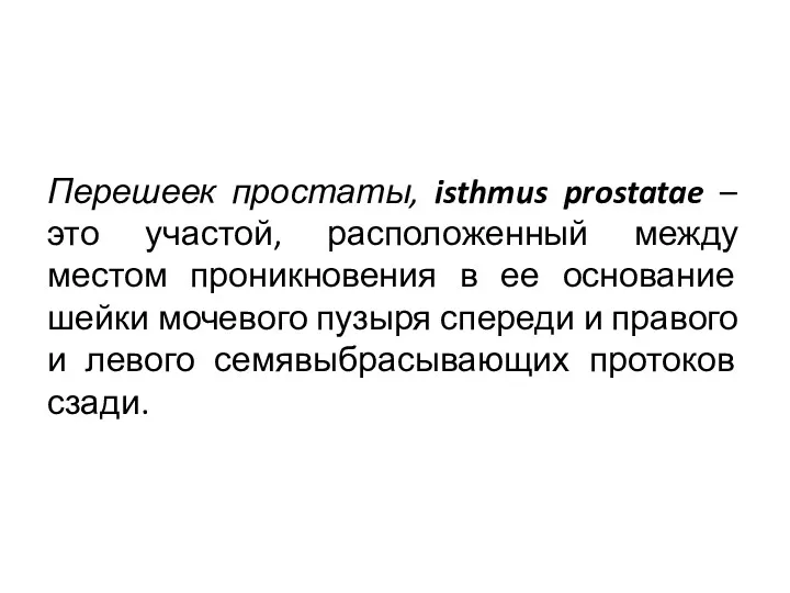 Перешеек простаты, isthmus prostatae – это участой, расположенный между местом