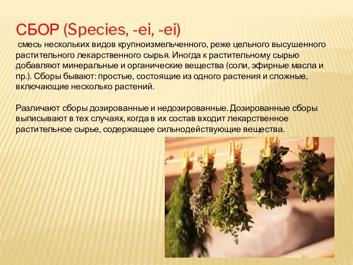 СБОР (Species, -ei, -ei) смесь нескольких видов крупноизмельченного, реже цельного