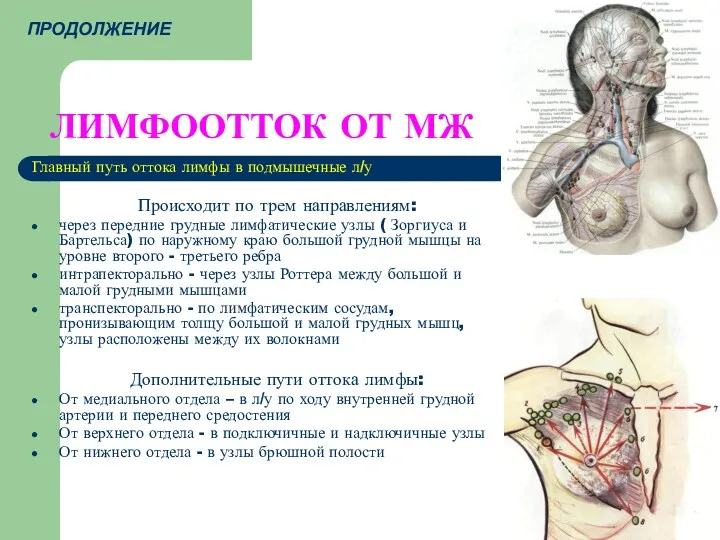 ЛИМФООТТОК ОТ МЖ Главный путь оттока лимфы в подмышечные л/у