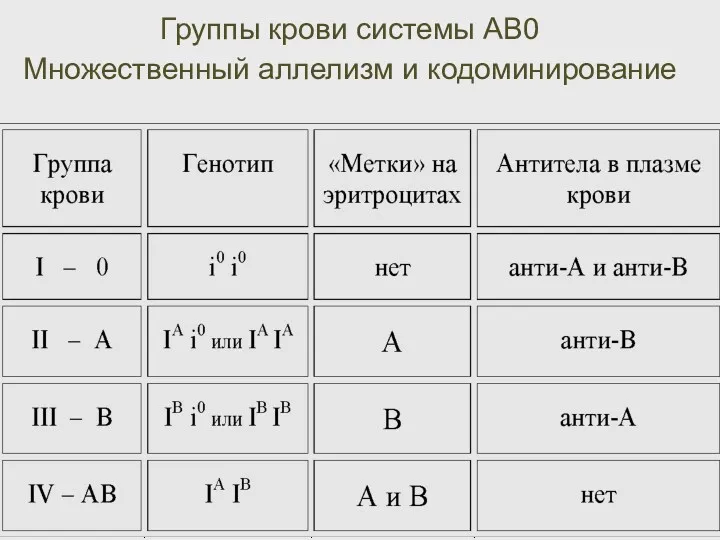 Группы крови системы АВ0 Множественный аллелизм и кодоминирование