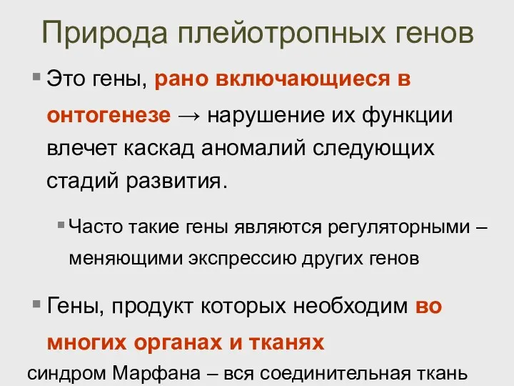 Природа плейотропных генов Это гены, рано включающиеся в онтогенезе →