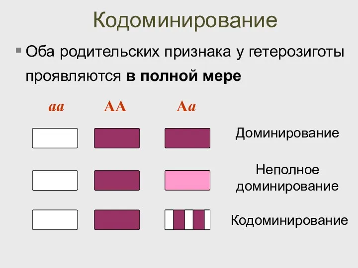 Кодоминирование Оба родительских признака у гетерозиготы проявляются в полной мере