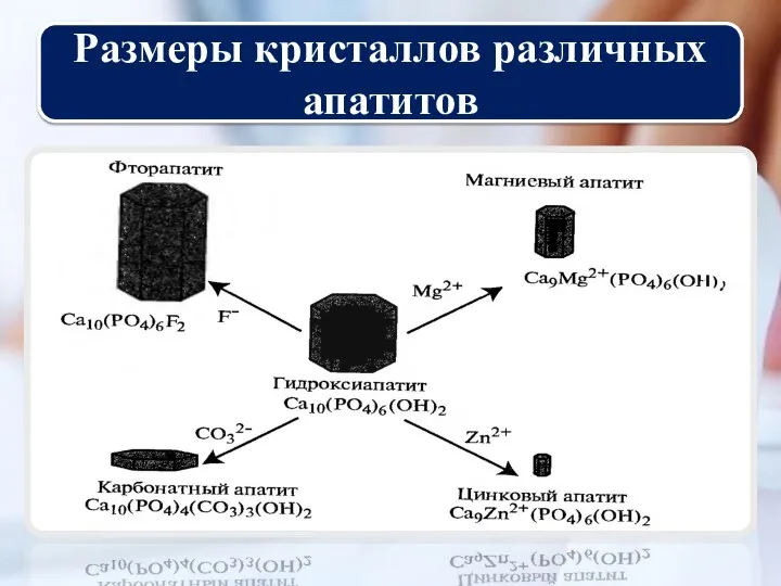 Размеры кристаллов различных апатитов