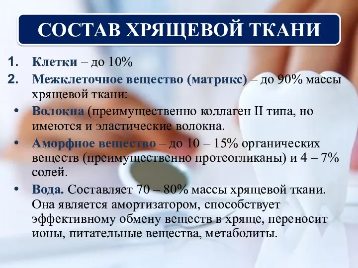 СОСТАВ ХРЯЩЕВОЙ ТКАНИ Клетки – до 10% Межклеточное вещество (матрикс)