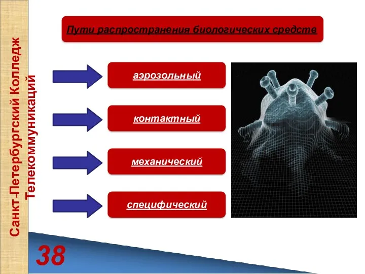 38 Санкт-Петербургский Колледж Телекоммуникаций Пути распространения биологических средств аэрозольный контактный механический специфический