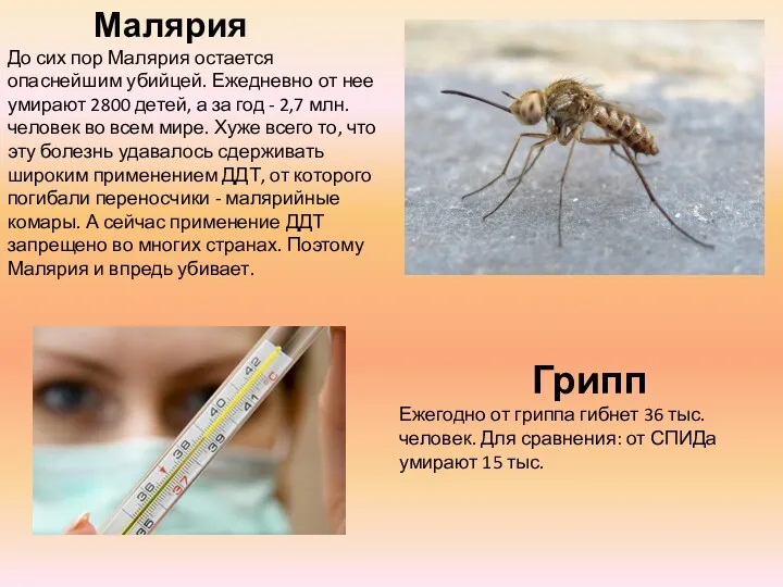Малярия До сих пор Малярия остается опаснейшим убийцей. Ежедневно от