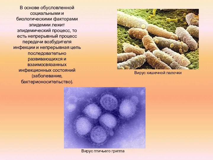 В основе обусловленной социальными и биологическими факторами эпидемии лежит эпидемический