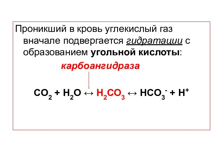 Проникший в кровь углекислый газ вначале подвергается гидратации с образованием