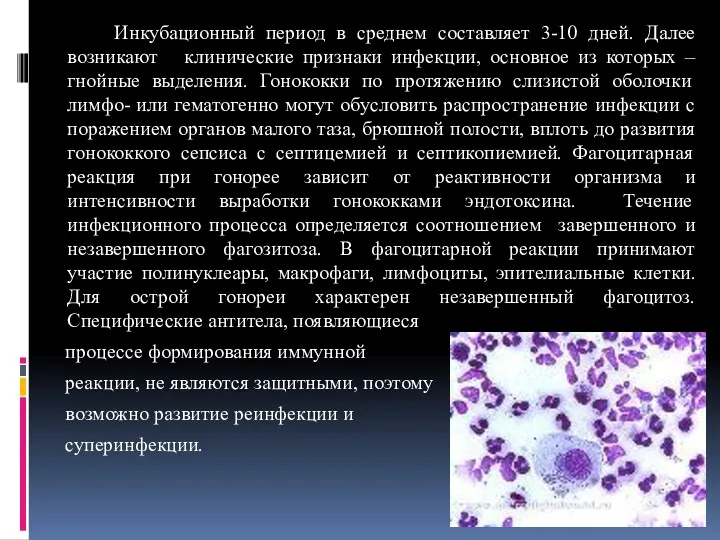 Инкубационный период в среднем составляет 3-10 дней. Далее возникают клинические