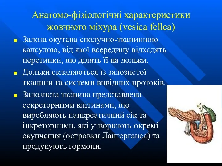 Анатомо-фізіологічні характеристики жовчного міхура (vesica fellea) Залоза окутана сполучно-тканинною капсулою,