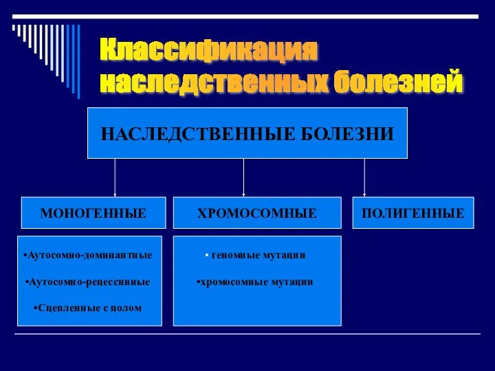 Классификация наследственных болезней МОНОГЕННЫЕ ХРОМОСОМНЫЕ ПОЛИГЕННЫЕ НАСЛЕДСТВЕННЫЕ БОЛЕЗНИ Аутосомно-доминантные Аутосомно-рецессивные