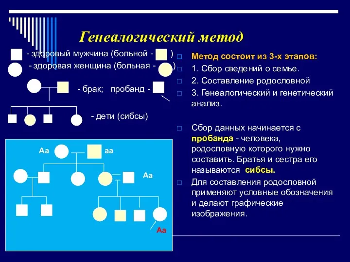 Генеалогический метод - здоровый мужчина (больной - ) - здоровая