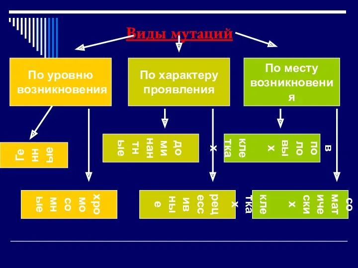 Виды мутаций По уровню возникновения По месту возникновения По характеру