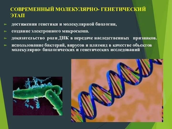 СОВРЕМЕННЫЙ МОЛЕКУЛЯРНО- ГЕНЕТИЧЕСКИЙ ЭТАП достижения генетики и молекулярной биологии, создание