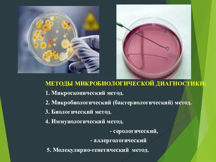 МЕТОДЫ МИКРОБИОЛОГИЧЕСКОЙ ДИАГНОСТИКИ: 1. Микроскопический метод. 2. Микробиологический (бактериологический) метод.