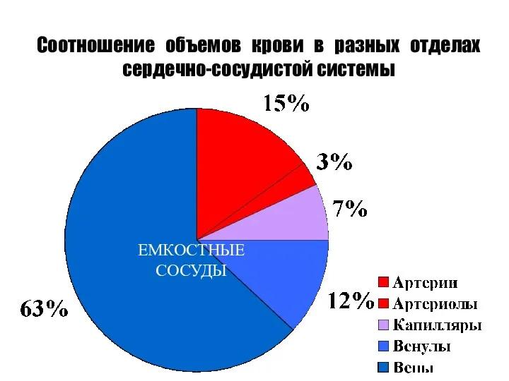 Соотношение объемов крови в разных отделах сердечно-сосудистой системы ЕМКОСТНЫЕ СОСУДЫ