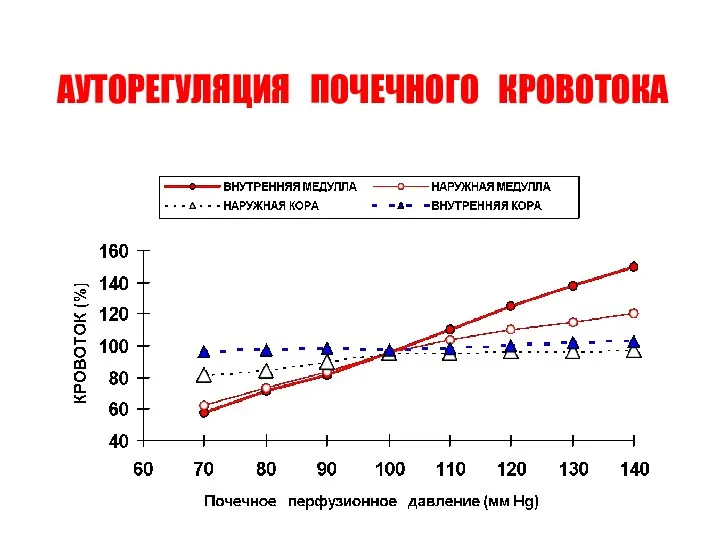 АУТОРЕГУЛЯЦИЯ ПОЧЕЧНОГО КРОВОТОКА