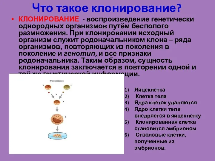 Что такое клонирование? КЛОНИРОВАНИЕ - воспроизведение генетически однородных организмов путём