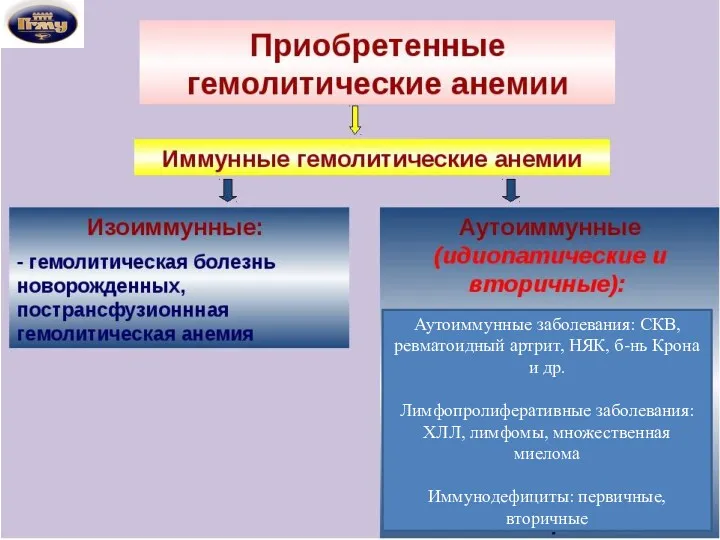 Аутоиммунные заболевания: СКВ, ревматоидный артрит, НЯК, б-нь Крона и др. Лимфопролиферативные заболевания: ХЛЛ,